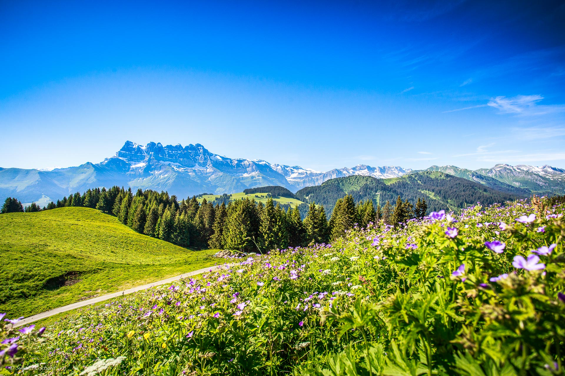 Why we can't wait for summer in the Alps